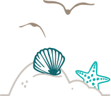 Seashell Icon